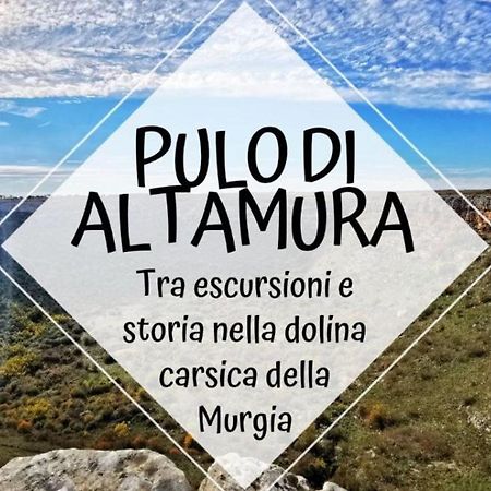 אלטאמורה B&B Capovento Della Murgia מראה חיצוני תמונה